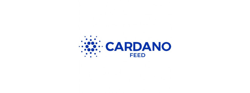 Cardano Feed