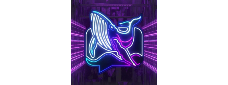 Whale Coin Talk